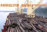 上海聚輝進出口 專業(yè)木材進口報關服務專家
